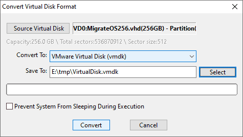 Convert Virtual Disk Format